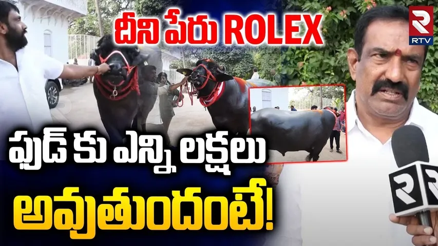 Haribabu Yadav About Hyderabad Sadar Festival| ఫుడ్ కు ఎన్ని లక్షలు అవుతుందంటే! | Rolex Buffalo |RTV