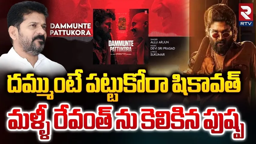 దమ్ముంటే పట్టుకోరా షికావత్ || Dammunte Pattukora Shekhawat || Pushpa 2 || Allu Arjun || RTV