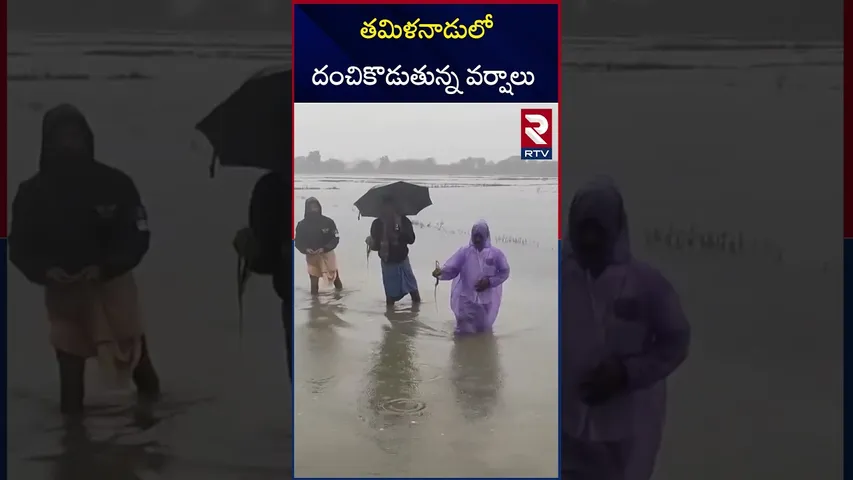 తమిళనాడులో దంచికొడుతున్న వర్షాలు | Heavy Rains In Tamilnadu | RTV