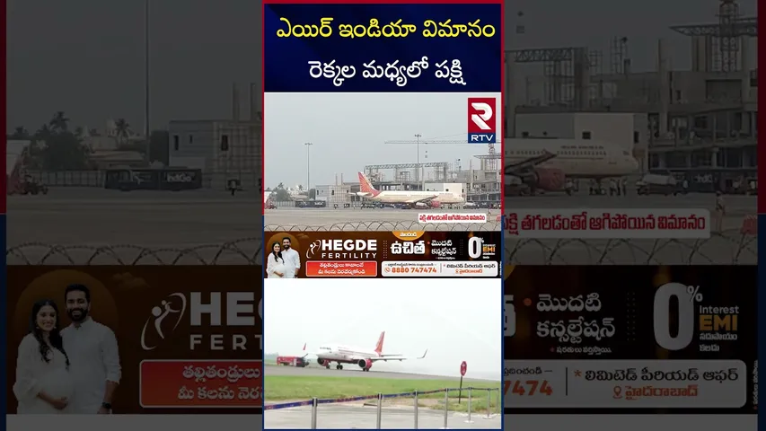 ఎయిర్ ఇండియా విమానం రెక్కల మధ్యలో పక్షి | Bird between the wings of an Air India plane | RTV