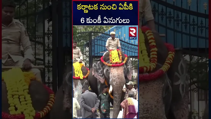 కర్ణాటక నుంచి ఏపీకి 6 కుంకీ ఏనుగులు | 6 Kumki Elephants To AP | RTV