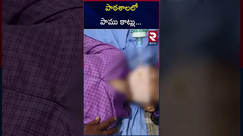 పాఠశాలలో పాము కాట్లు... | Two students Bitten By Snake in Government School | Kondapuram | RTV