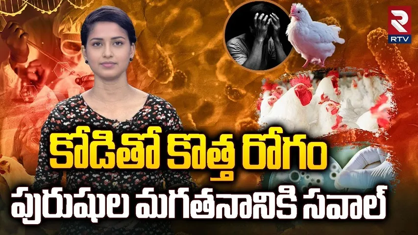 కోడితో కొత్త రోగం..! పురుషుల మగతనానికి సవాల్ | Antimicrobial Drug | RTV