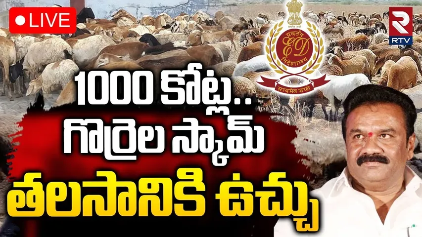 sheep distribution Scam🔴LIVE : గొర్రెల స్కామ్‌ 1000 కోట్లు | Talasani Srinivas OSD Kalyan | RTV
