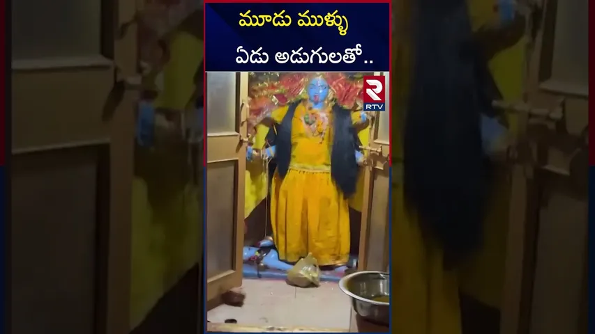 మూడు ముళ్ళు ఏడు అడుగులతో.. | Lady Aghori Married Sri Varshini | Varshini Aghori Love | RTV