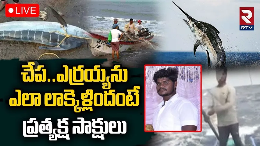 Kommu Konam Fish Incident🔴LIVE : ఎర్రయ్యను ఎలా లాక్కెళ్లిదంటే | Fish Dragged Fisherman Into Sea |RTV