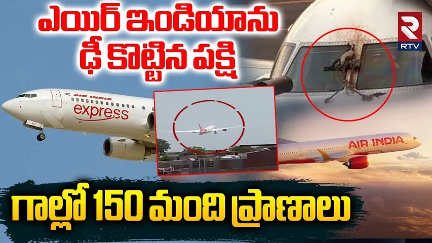 ఎయిర్ ఇండియాను ఢీ కొట్టిన పక్షి.. | Bird Hits Air India Plane | Nagpur To Mumbai Flight | RTV