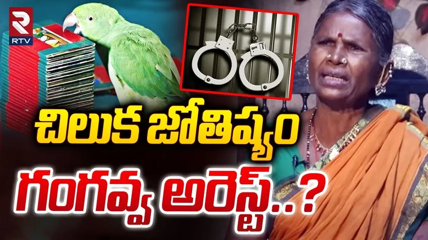 చిలుక జోతిష్యం గంగవ్వ అరెస్ట్..? | Case Filed Against Gangavva Over Pa | My Village Show | RTV