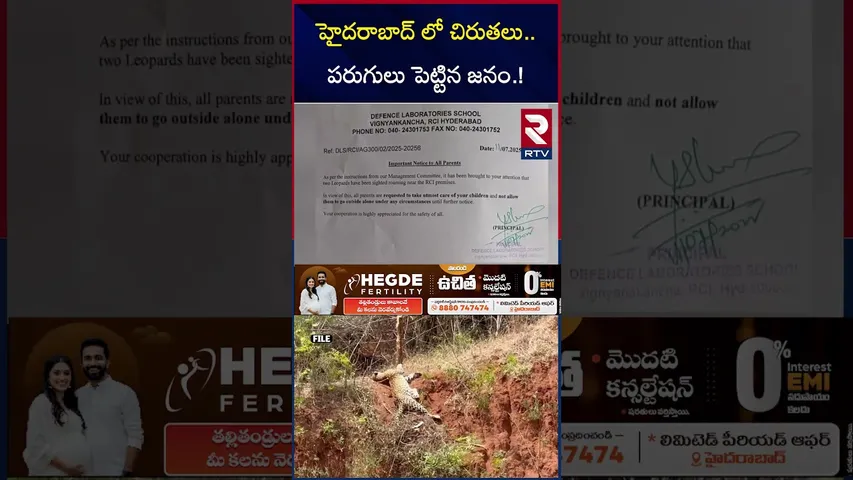 హైదరాబాద్ లో చిరుతలు.. పరుగులు పెట్టిన జనం.! | Leopard In Hyderabad | Alert in Balapur | RTV