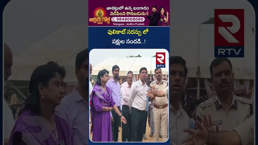 పులికాట్ సరస్సు లో పక్షుల సందడి..! | Flamingo Festival in CM Chandrababu to Attend | RTV