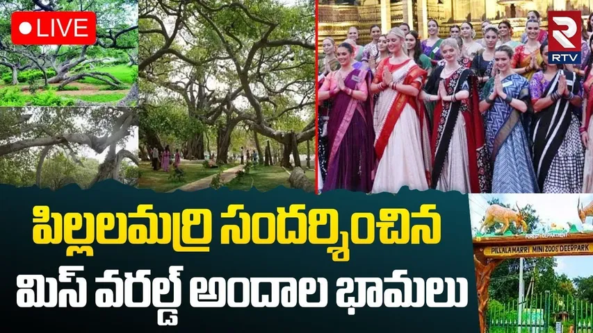 Miss World 2025 Contestants Visited Pillalamarri🔴LIVE : పిల్లలమర్రి లో అందాల భామలు | Palamuru | RTV