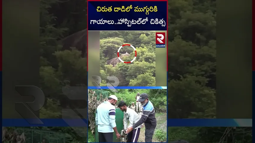 చిరుత దా*డిలో ముగ్గురికి గాయాలు..హాస్పిటల్‌లో చికిత్స | Leopard A*ttack on shepherds | Mahbubnagar
