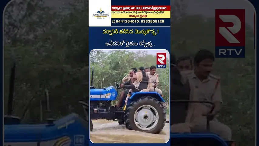 వర్షానికి తడిసిన మొక్కజొన్న.! రైతుల కన్నీళ్లు.. | Maize Crop Damaged with Heavy Rain | Kurnool | RTV