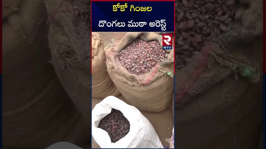 కోకో గింజల దొంగలు ముఠా అరెస్ట్ | Gang of cocoa bean thieves arrested | RTV