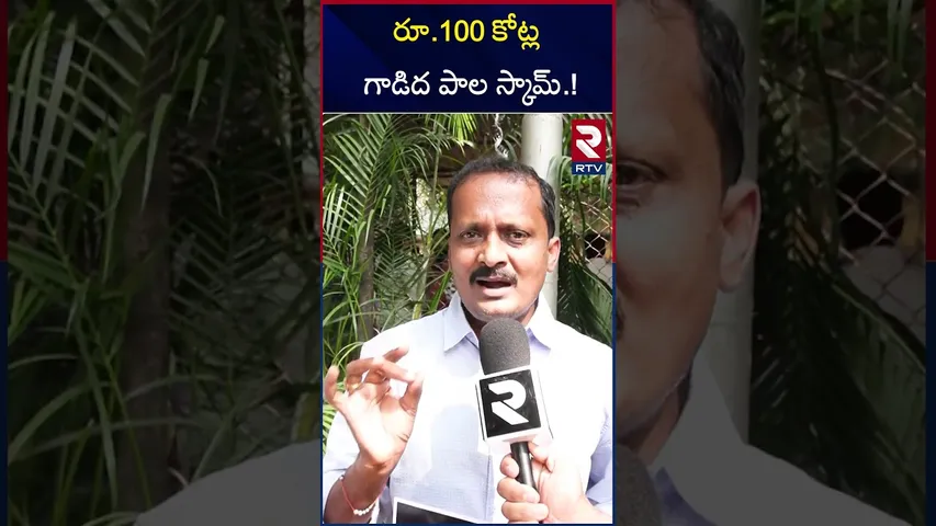 గాడిదల పేరిట వ్యాపారం | Donkey Milk Scam | Hyderabad | RTV