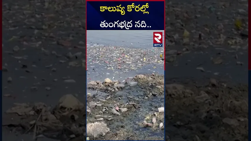 కాలుష్య కోరల్లో తుంగభద్ర నది.. | Kurnool City | Tungabhadra River Polluted | RTV