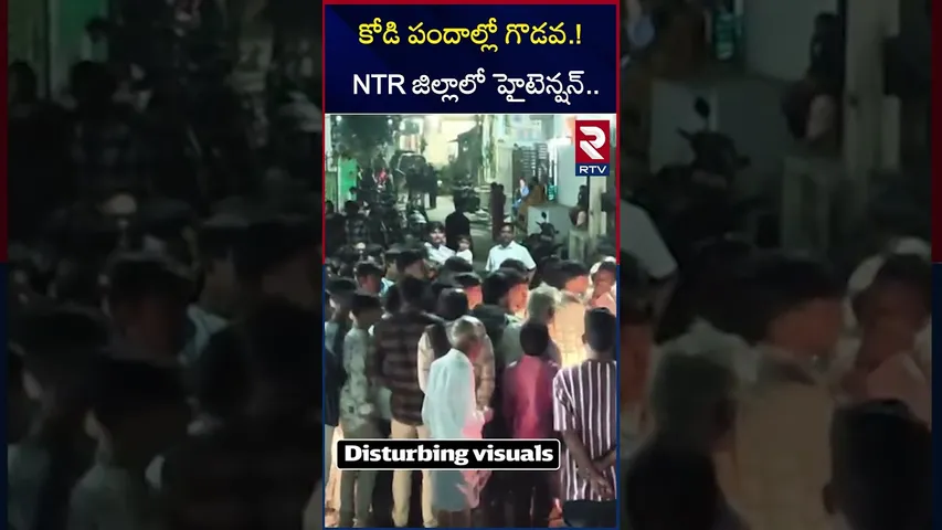 కో*డి పందాల్లో గొ*డవ.! NTR జిల్లాలో హైటెన్షన్.. | High Tension In NTR district | RTV