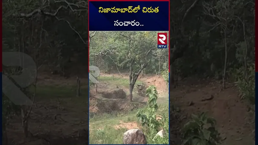 నిజామాబాద్ లో చిరుత సంచారం | Chirutha Halchal In Nizamabad District | RTV