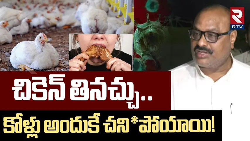 చికెన్ తినచ్చు | Minister Atchannaidu On Bird flu Cases | AP News | RTV