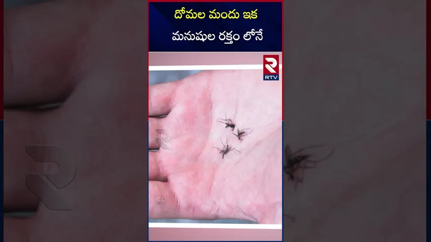 దోమల మందు ఇక  మనుషుల రక్తం లోనే  | Mosquito medicine now in human blood | RTV