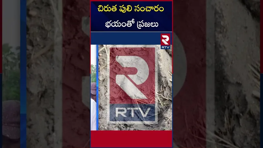 చిరుత పులి సంచారం భయంతో ప్రజలు | People Afraid of  Leopard | Kurnool | RTV