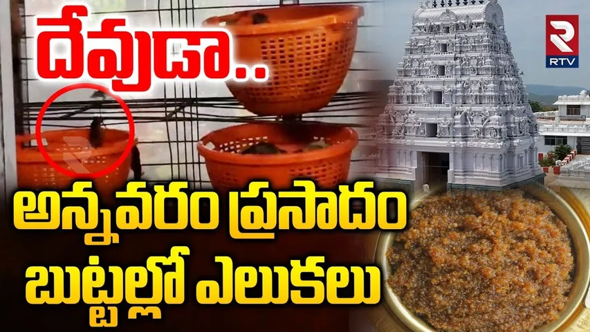 అన్నవరం ప్రసాదం బుట్టల్లో ఎలుకలు.. | Rats In Annavaram Prasadam | Annavaram Temple | RTV