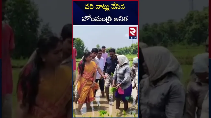 వరి నాట్లు వేసిన హోం మంత్రి అనిత | Home Minister Vangalapudi Anitha | Vizainagram | RTV