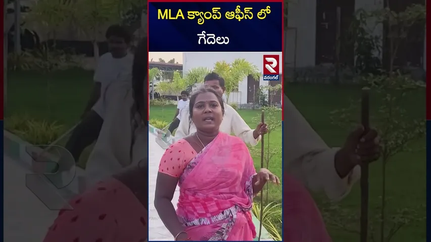 MLA క్యాంప్ ఆఫీస్ లో గేదెలు | Buffaloes in the MLA camp office | RTV
