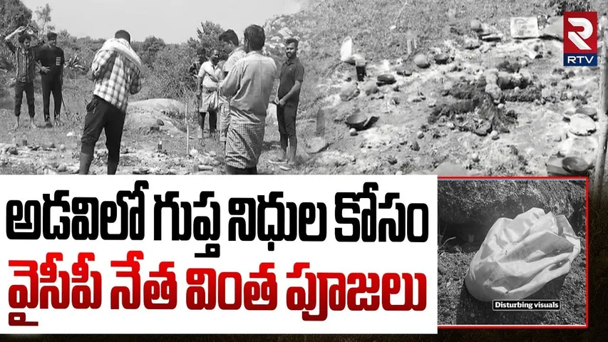 అడవిలో గుప్త నిధుల కోసం వైసీపీ నేత వింత పూజలు.. | YCP Leader Treasure Hunt | Chittoor | RTV