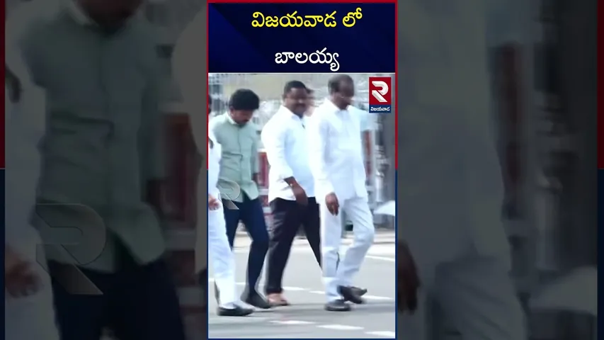 విజయవాడ లో బాలయ్య | An Honor to Balaya | Vijayawada | NBK | RTV