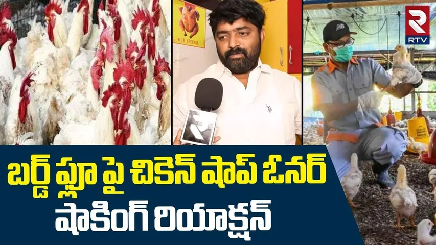 బర్డ్ ఫ్లూ పై చికెన్ షాప్ ఓనర్ | Chicken Shop Owner Shocking Reaction On Bird Flu | RTV