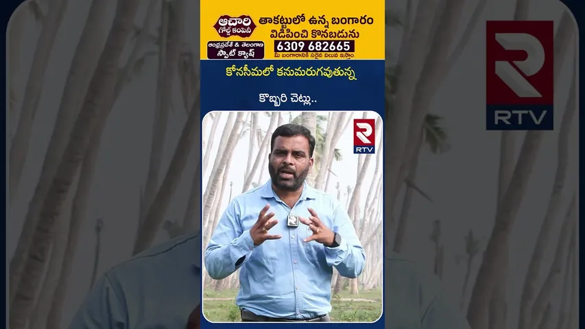 కోనసీమలో కనుమరుగవుతున్న కొబ్బరి చెట్లు.. | Konaseema Coconut Farmers Problems | RTV