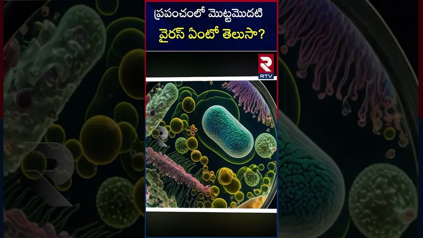 ప్రపంచంలో మొట్టమొదటివైరస్‌ ఏంటో తెలుసా? | Virus | HMPV |RTV