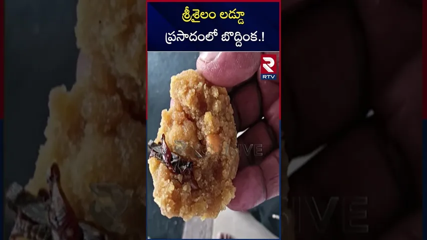 శ్రీశైలం లడ్డూ ప్రసాదంలో బొద్దింక.! | Co*ckro*ach in Srisailam laddu prasadam | RTV