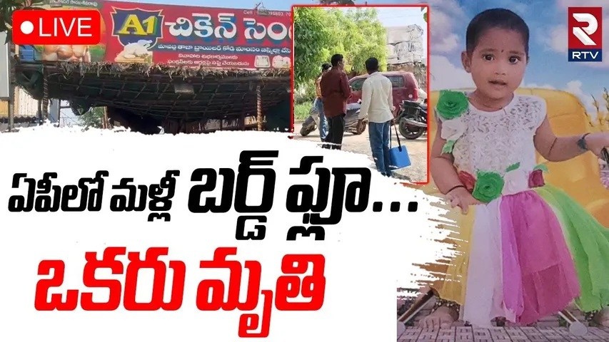 Bird flu Incident in AP🔴LIVE : ఏపీలో మళ్లీబర్డ్‌ ఫ్లూ | 2 Years child | Palnadu | Narasaraopet