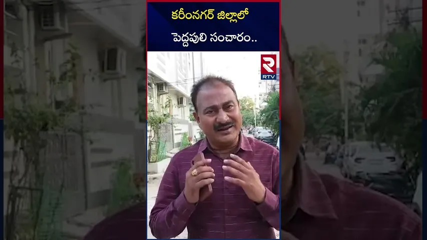 కరీంనగర్ జిల్లాలో పెద్దపులి సంచారం.. | Tiger Hulchal In Karimnagar District | RTV