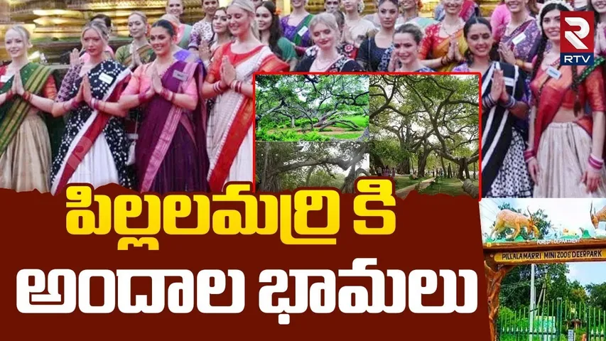 Miss World Contestants In Pillalamarri | పిల్లలమర్రి కి  అందాల భామలు | Mahabubnagar | CM Revanth