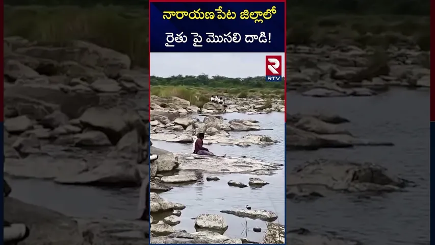 నారాయణపేట జిల్లాలో రైతు పై మొసలి దాడి! | Crocodile Attack On farmer | Narayanpet District | RTV