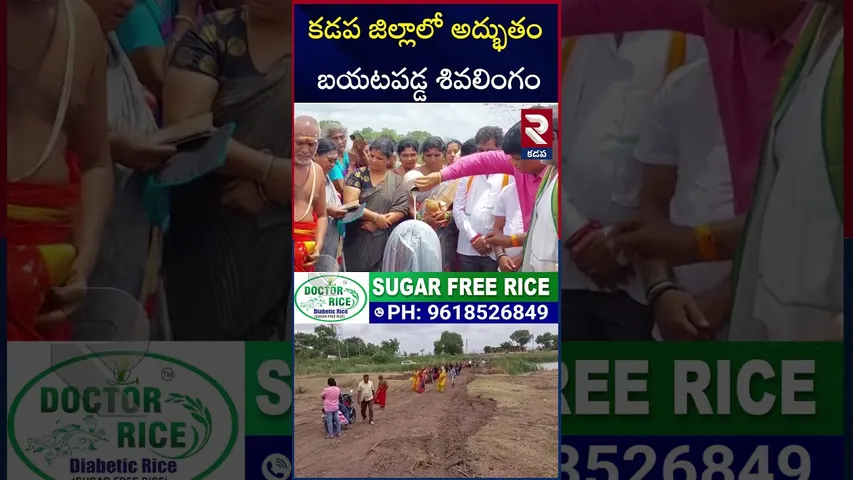 తాళ్లపాక చెరువులో అద్భుతం | Miracle in Kadapa District | Shiva Lingam | RTV