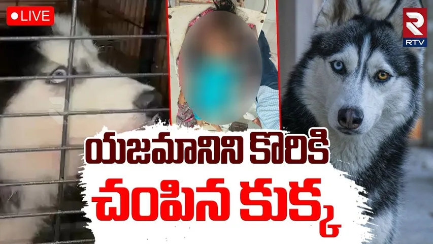 Madhura Nagar Dog Incident🔴LIVE :యజమానిని కొరికిన  కుక్క | Pawan Kumar Pet Dog Issue | Hyderabad