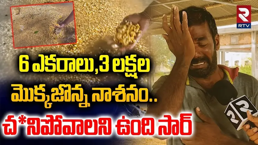 Cyclone Montha News | 3 లక్షల మొక్కజొన్న నాశనం | Kurnool Corn Farmers Emotional Words | RTV