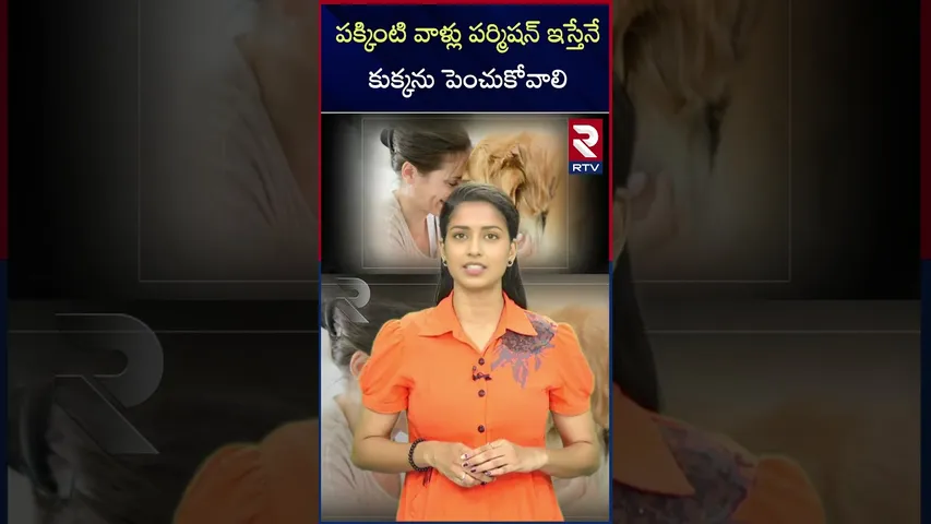 పక్కింటి వాళ్లు పర్మిషన్ ఇస్తేనే కుక్కను పెంచుకోవాలి | Neighbours Permission  for Pets | RTV