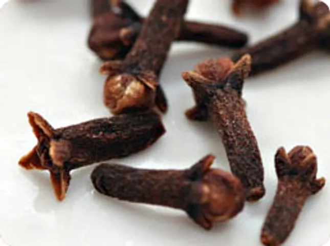 hand in clove with a spice