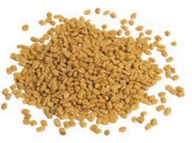 introduction to multi talented bitter seeds
