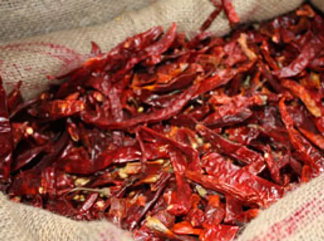 kashmiri red chillies