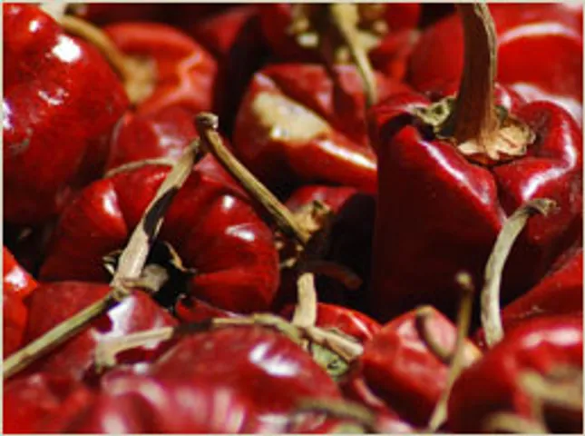 red hot chilli pepper