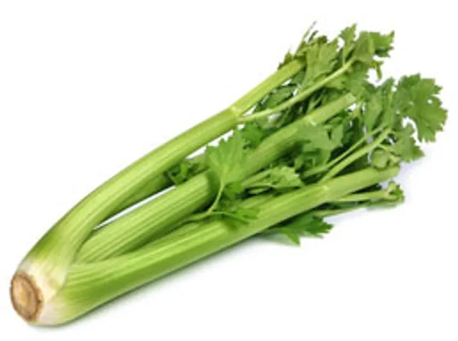 crunchy munchy celery