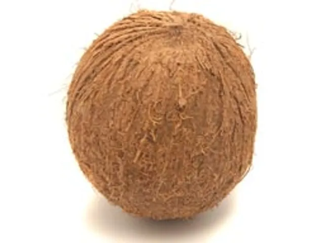kalpavriksha coconut