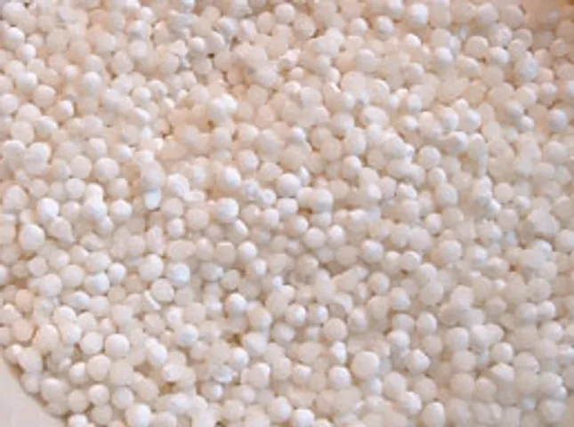 the tale of sabudana