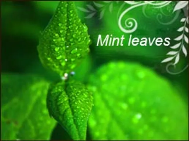 minting favours